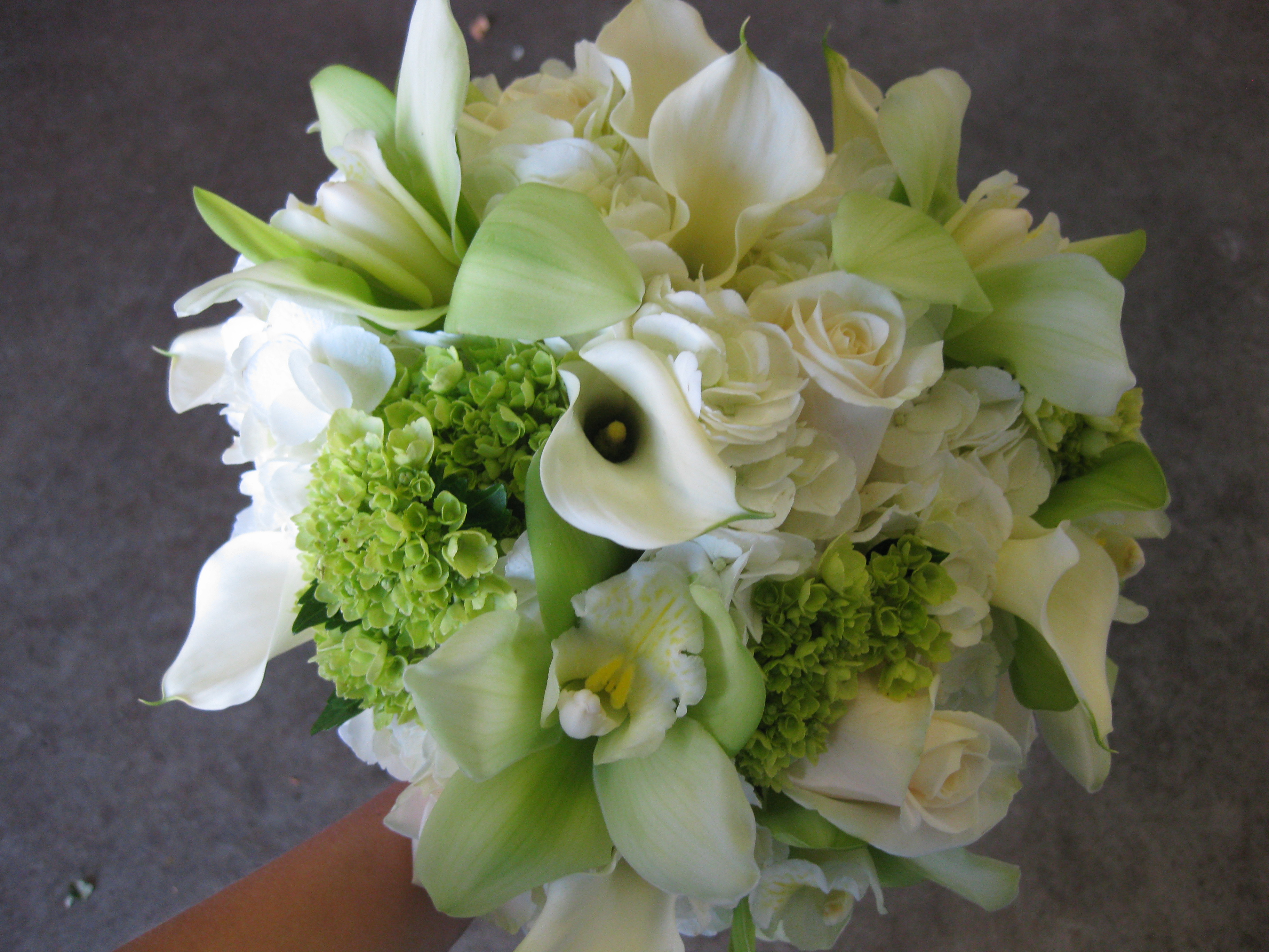 Download this Green And White Calla... picture