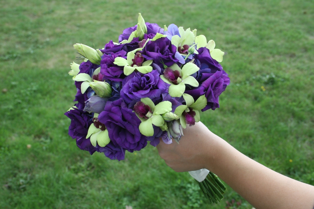plum flowers purple and green flowers purple flowers purple hydrangea